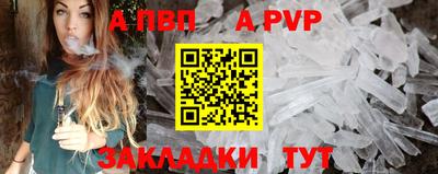 шишки Лесосибирск