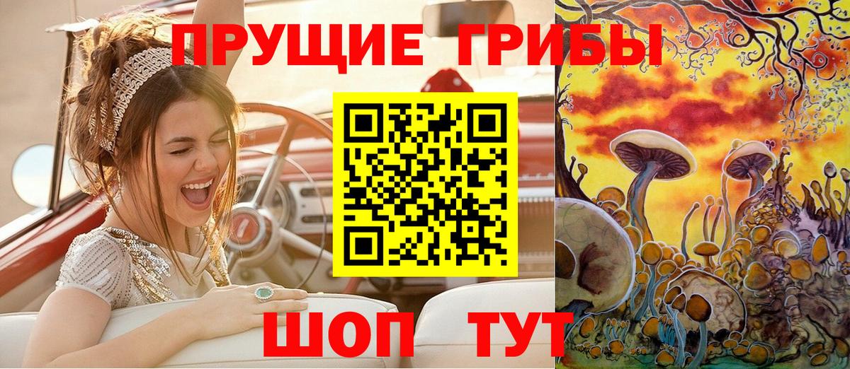 Псилоцибиновые грибы MAGIC MUSHROOMS  Вход с VPN  Тара 